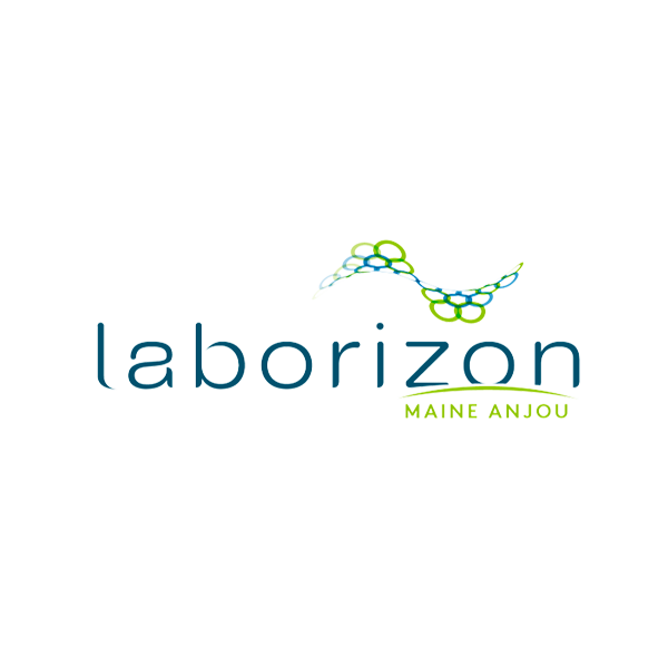 Logo-Laborizon